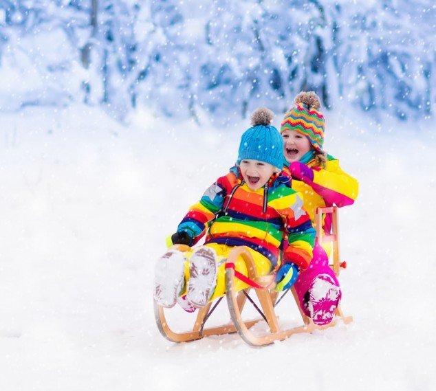 Schlittenfahren im Winter