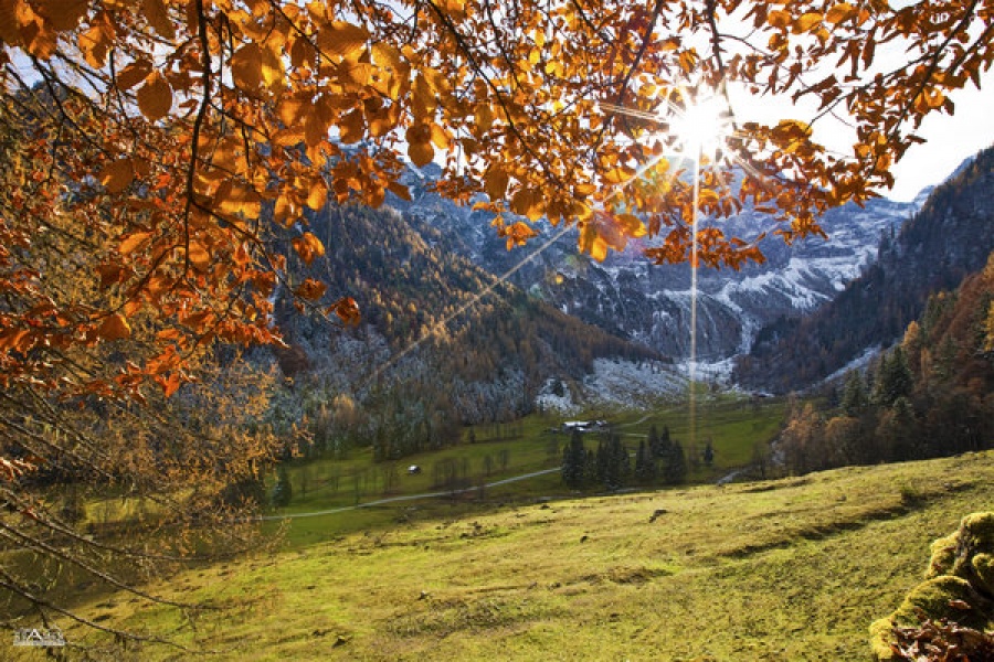 Der Sonnberg September