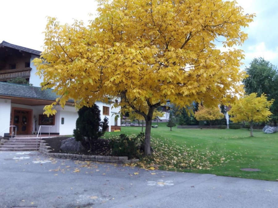 So schön ist der Herbst bei Sonnberg