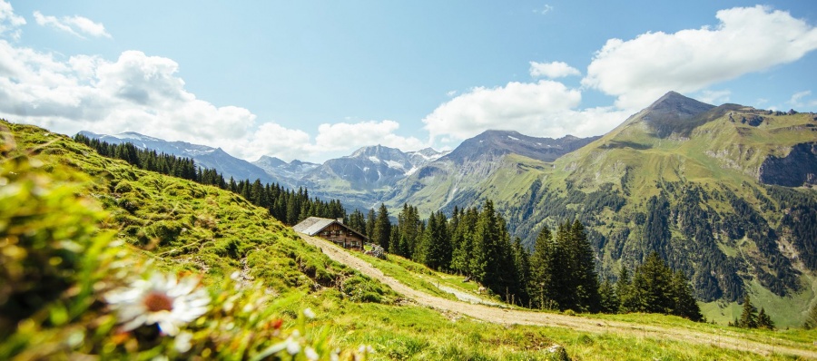 Das Salzburger Gipfelspiel