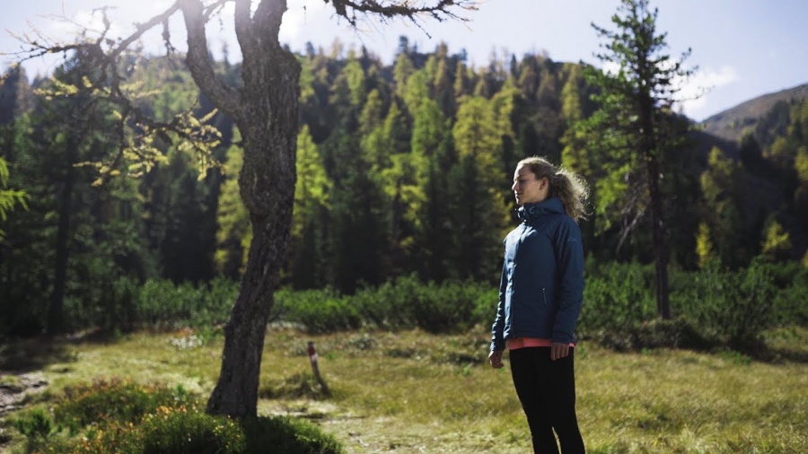 Wald - Einatmen und Ausatmen